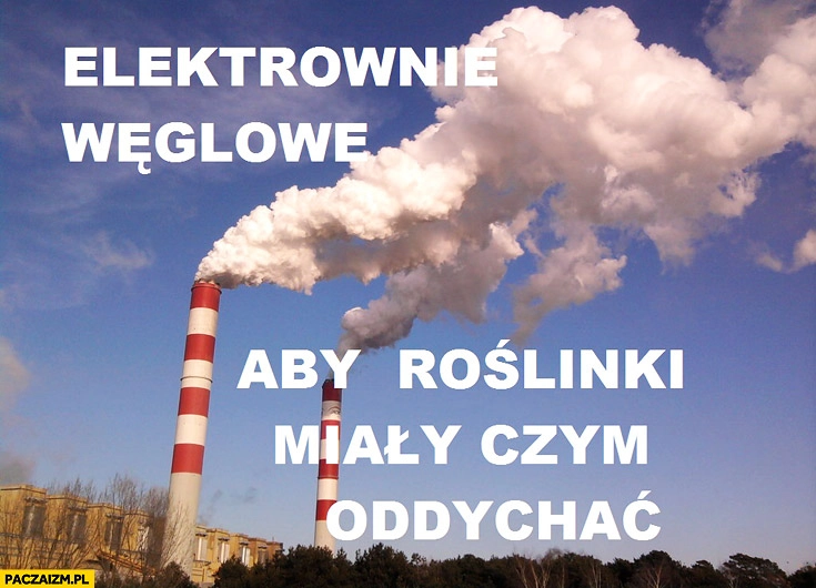 
    Elektrownie węglowe aby roślinki miały czym oddychać