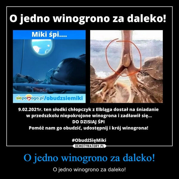 
    O jedno winogrono za daleko!