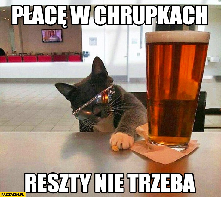 
    Płacę w chrupkach reszty nie trzeba kot w okularach