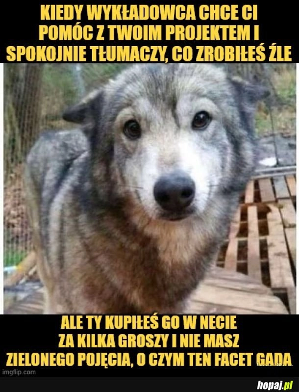 
    Studia są ciężkie.