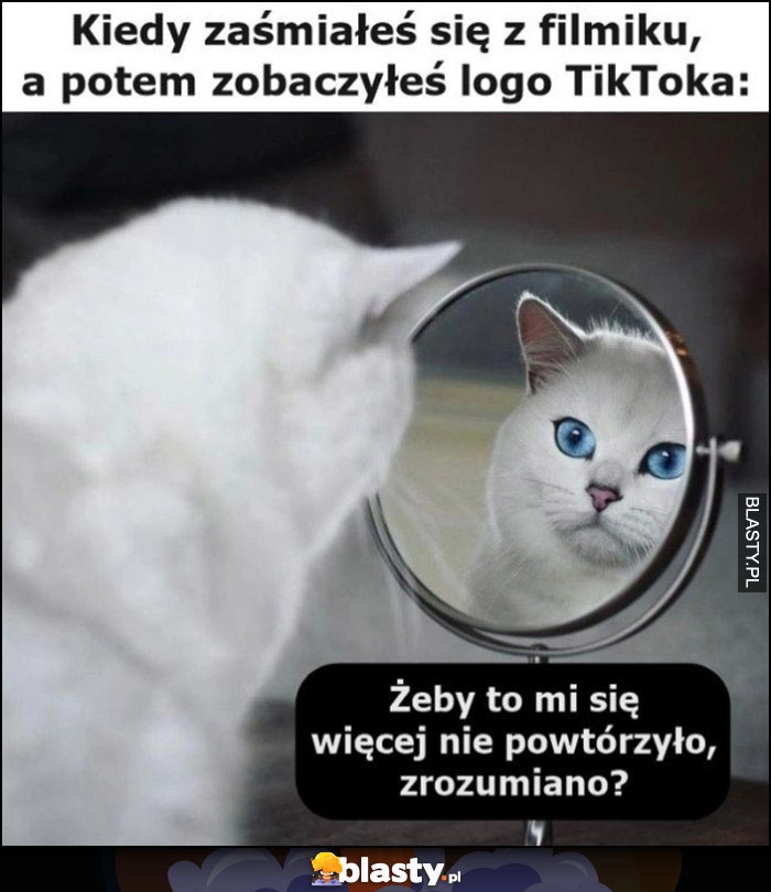 
    Kiedy zaśmiałeś sie z filmiku a potem zobaczyłeś logo tiktoka kot: zeby mi się to więcej nie powtórzyło