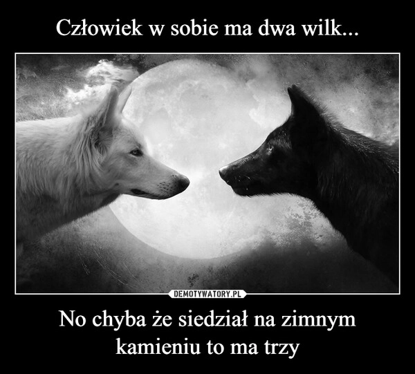 
    Człowiek w sobie ma dwa wilk... No chyba że siedział na zimnym kamieniu to ma trzy