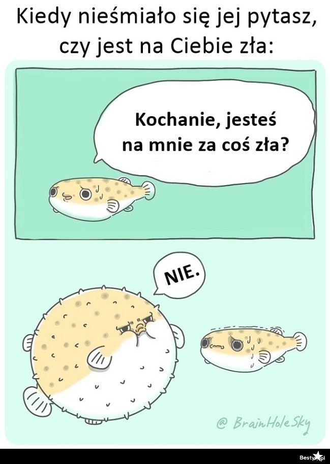 
    Skąd w ogóle to pytanie 