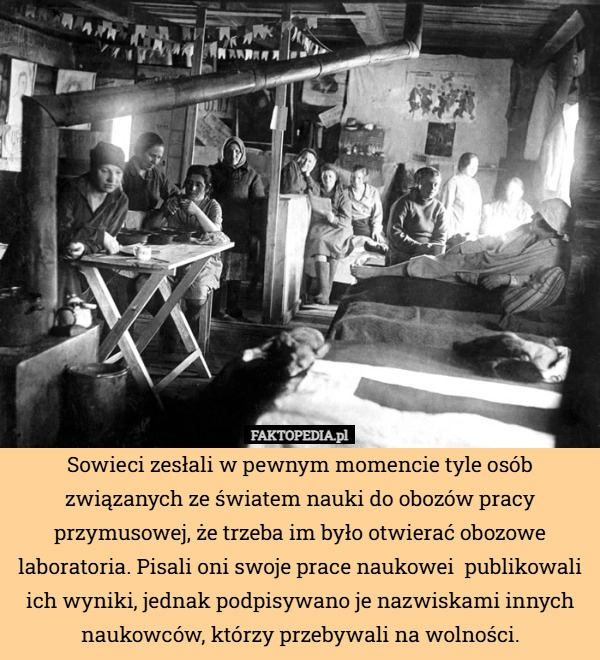 
    Sowieci zesłali w pewnym momencie tyle osób związanych ze światem nauki