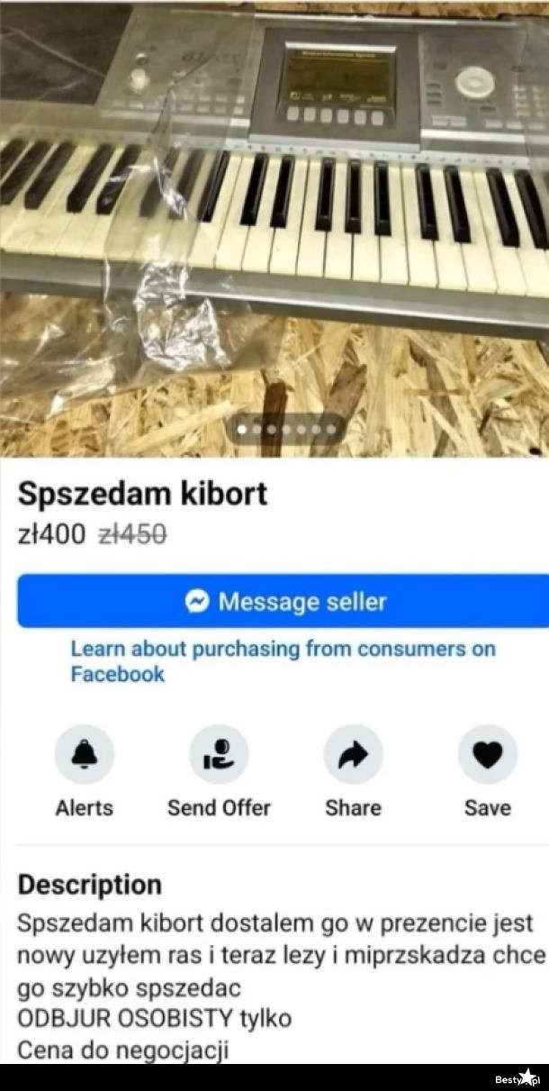 
    "Kibort" xD 