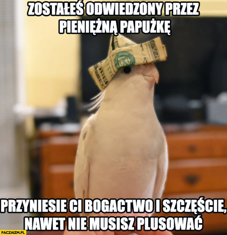 
    Zostałeś odwiedzony przez pieniężną papużkę, przyniesie Ci bogactwo i szczęście, nawet nie musisz plusować