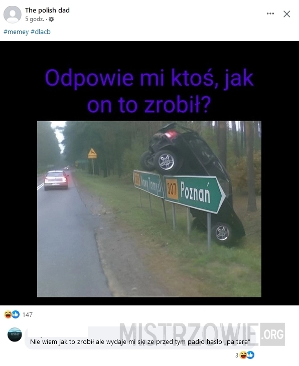 
    Parkowanie