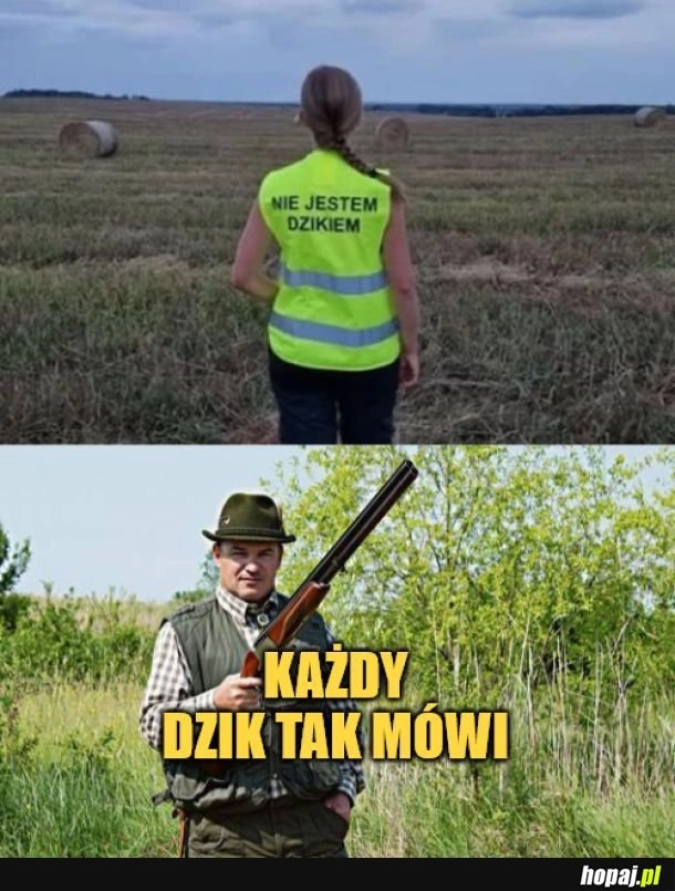 
    Nie ma tlumaczenia
