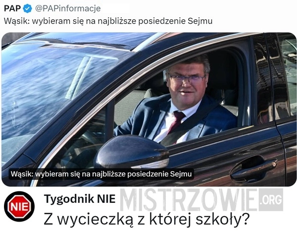 
    Wąsik