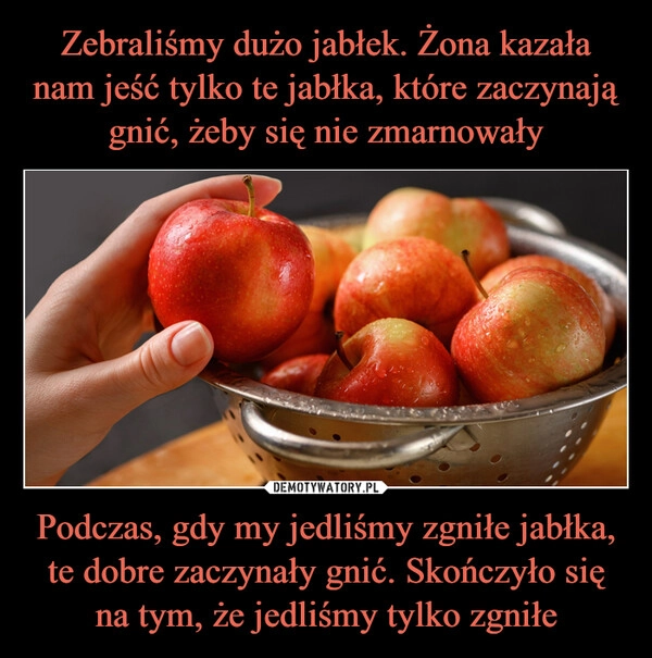 
    Zebraliśmy dużo jabłek. Żona kazała nam jeść tylko te jabłka, które zaczynają gnić, żeby się nie zmarnowały Podczas, gdy my jedliśmy zgniłe jabłka, te dobre zaczynały gnić. Skończyło się na tym, że jedliśmy tylko zgniłe