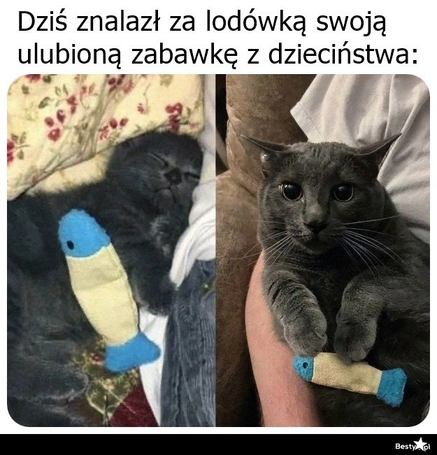 
    Ulubiona zabawka z dzieciństwa 