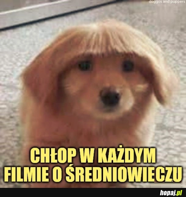 
    Fryzura.