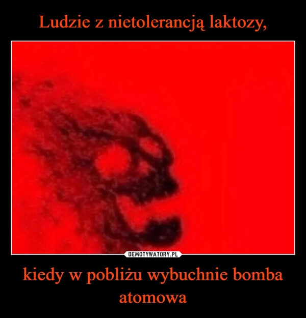 
    Ludzie z nietolerancją laktozy, kiedy w pobliżu wybuchnie bomba atomowa