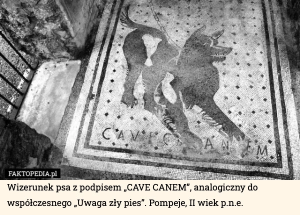 
    Wizerunek psa z podpisem „CAVE CANEM”, analogiczny do współczesnego „Uwaga
