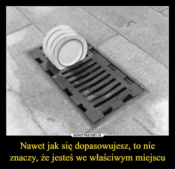 
    Nawet jak się dopasowujesz, to nie znaczy, że jesteś we właściwym miejscu