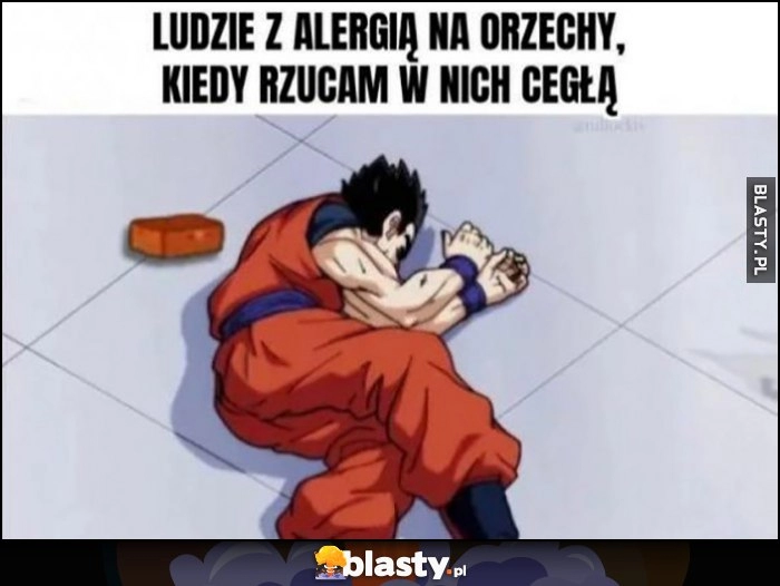 
    Ludzie z alergią na orzechy kiedy rzucam w nich cegłą Goku Dragon Ball