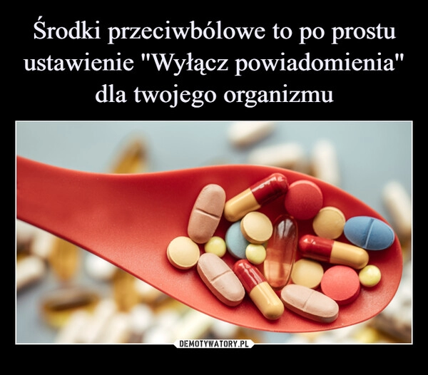 
    Środki przeciwbólowe to po prostu ustawienie ''Wyłącz powiadomienia'' dla twojego organizmu