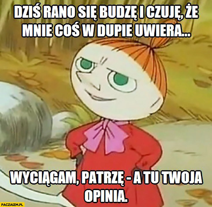 
    Dziś rano się budzę i czuję, że coś mnie uwiera, wyciągam patrzę a tu Twoja opinia Mała Mi Muminki