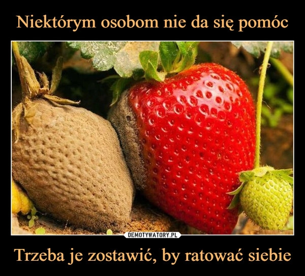 
    Niektórym osobom nie da się pomóc Trzeba je zostawić, by ratować siebie