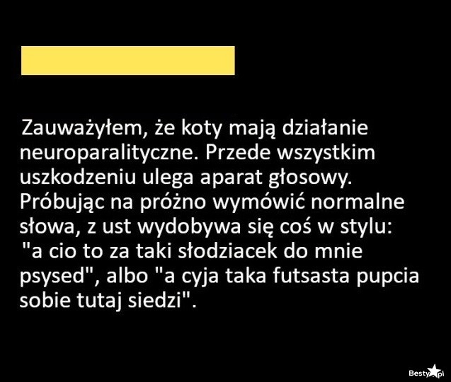 
    Wpływ kotów na ludzi 