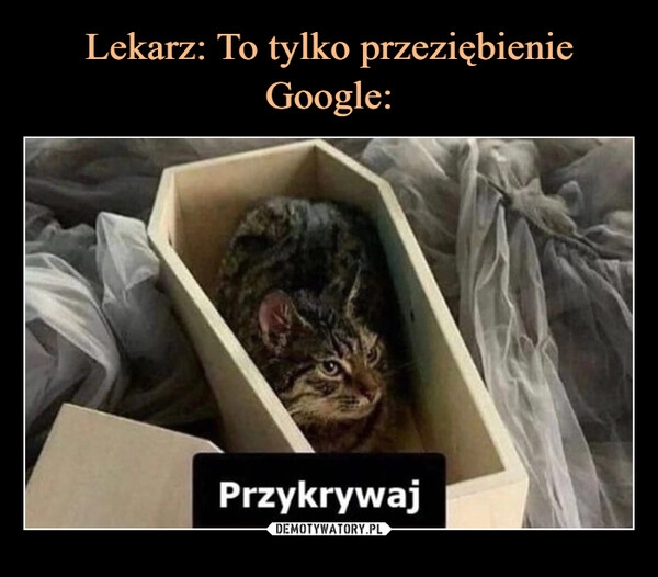 
    Lekarz: To tylko przeziębienie
Google: