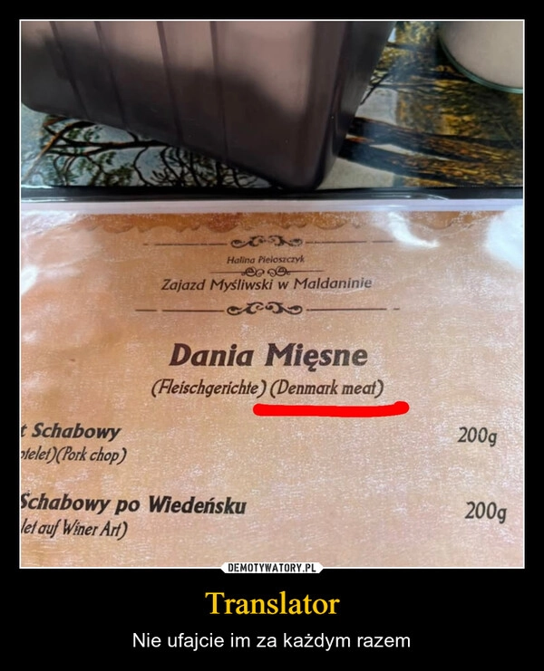 
    Translator
