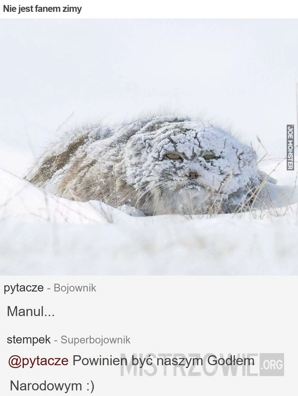 
    Nie jest fanem zimy