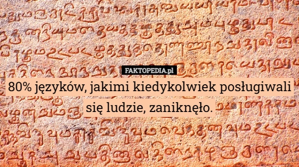 
    80% języków, jakimi kiedykolwiek posługiwali się ludzie, zaniknęło.