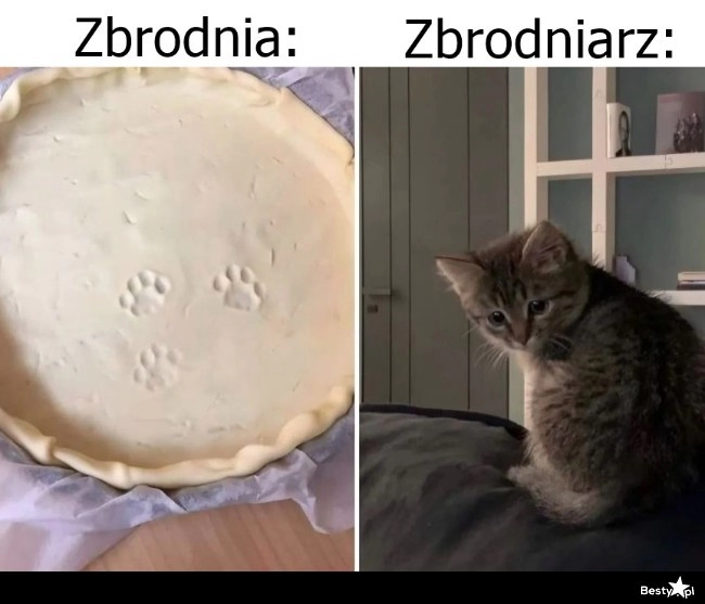 
    Ślady mówią wszystko 