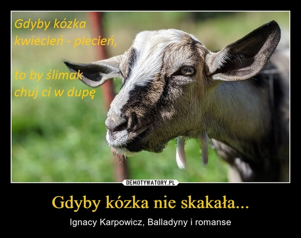 
    Gdyby kózka nie skakała...