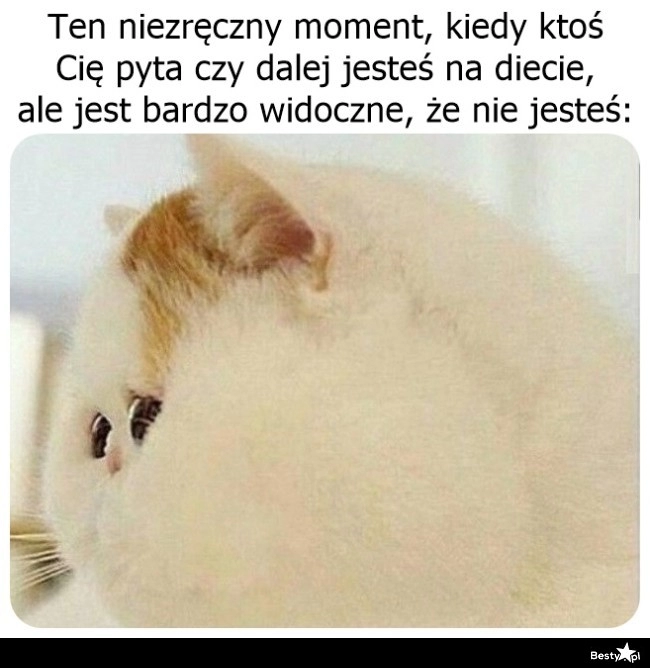 
    Jestem, ale cheat day mi się przedłużył 