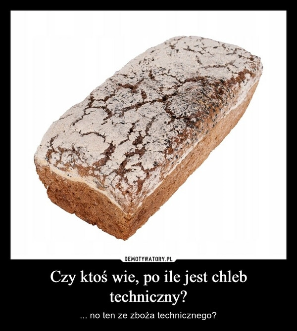 
    Czy ktoś wie, po ile jest chleb techniczny?