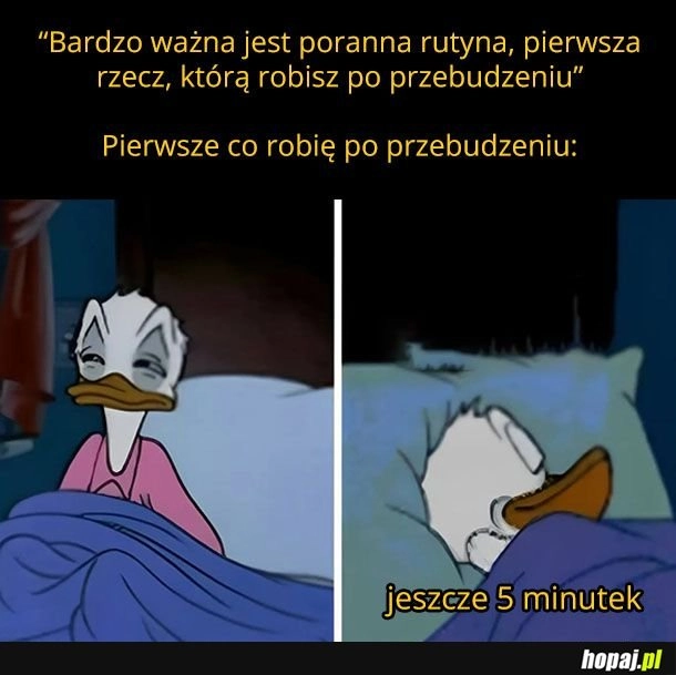 
    Pierwsze co robię po przebudzeniu