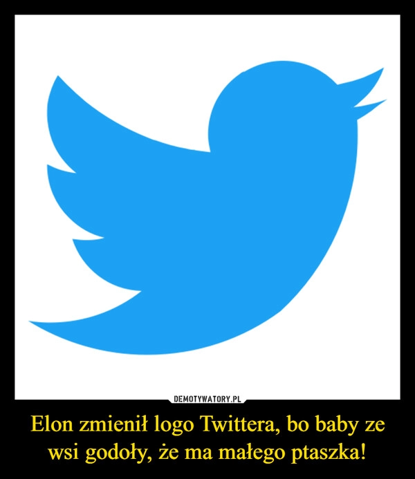 
    Elon zmienił logo Twittera, bo baby ze wsi godoły, że ma małego ptaszka!