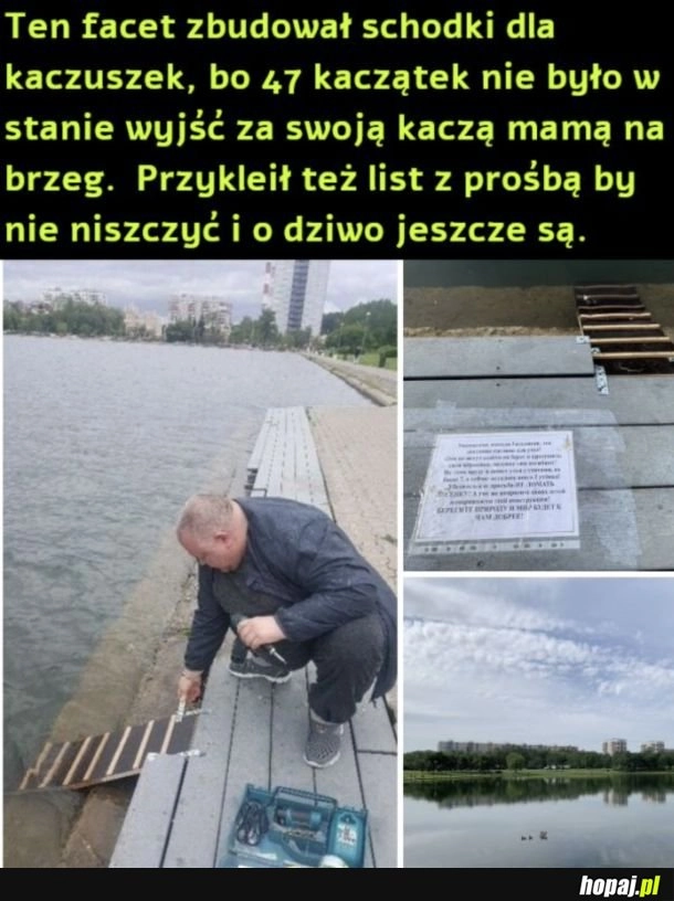 
    Szacunek dla pana