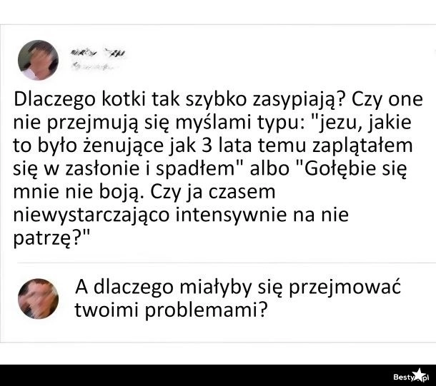 
    Dlaczego kotki szybko zasypiają 