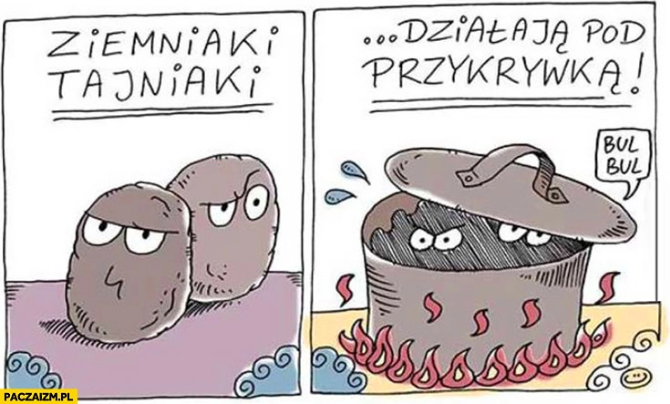 
    Ziemniaki tajniaki działają pod przykrywką w garnku