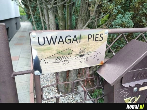 
    Uwaga! pies