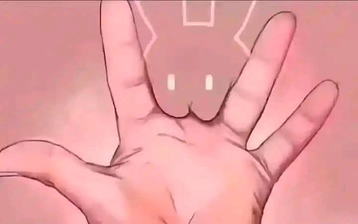 What does it feel like being bitten by a rabbit?
