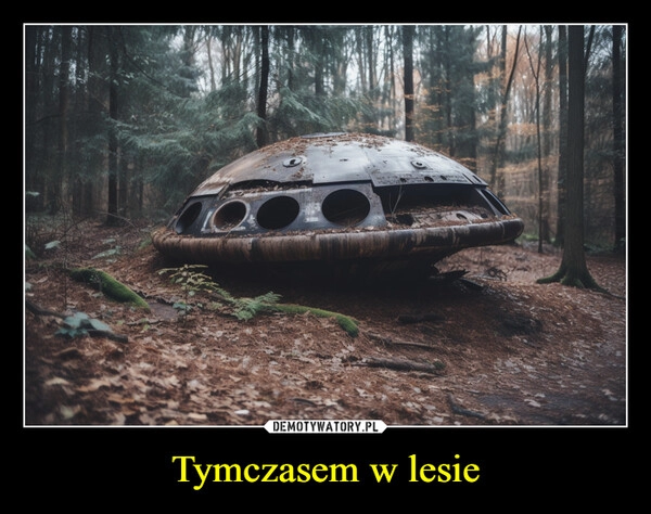 
    Tymczasem w lesie