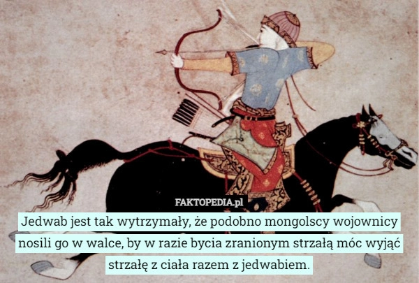 
    Jedwab jest tak wytrzymały, że podobno mongolscy wojownicy nosili go w walce,