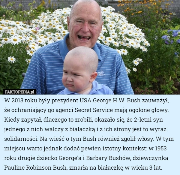 
    W 2013 roku były prezydent USA George H.W. Bush zauważył, że ochraniający...