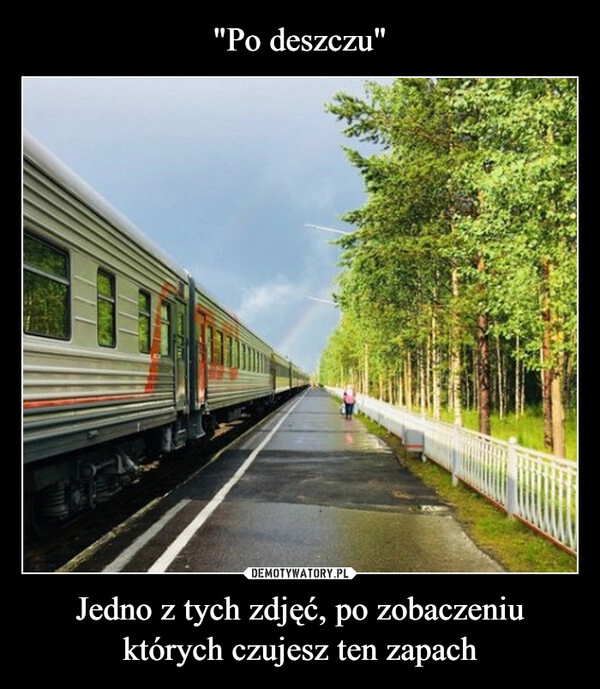 
    "Po deszczu" Jedno z tych zdjęć, po zobaczeniu których czujesz ten zapach