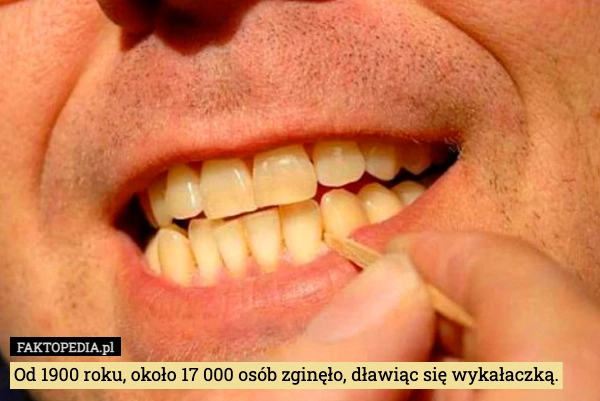 
    Od 1900 roku, około 17 000 osób zginęło, dławiąc się wykałaczką.