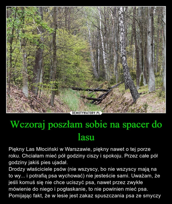 
    Wczoraj poszłam sobie na spacer do lasu