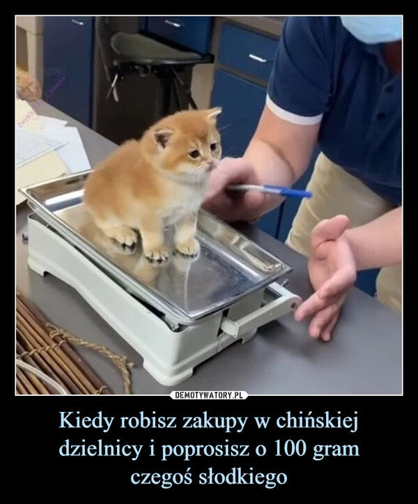 
    Kiedy robisz zakupy w chińskiej dzielnicy i poprosisz o 100 gram
czegoś słodkiego