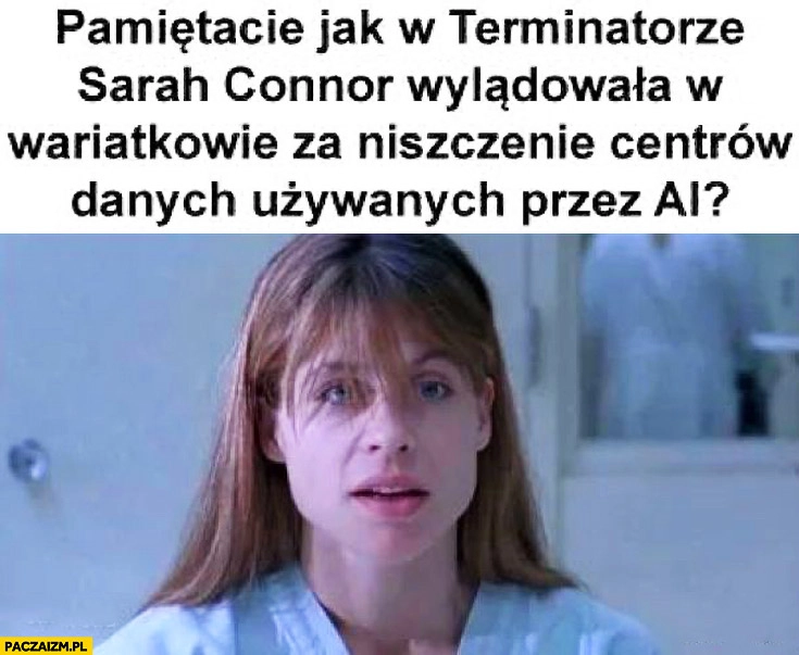 
    Pamiętacie jak w terminatorze Sarah Connor wylądowała w wariatkowie za niszczenie centrów danych AI?