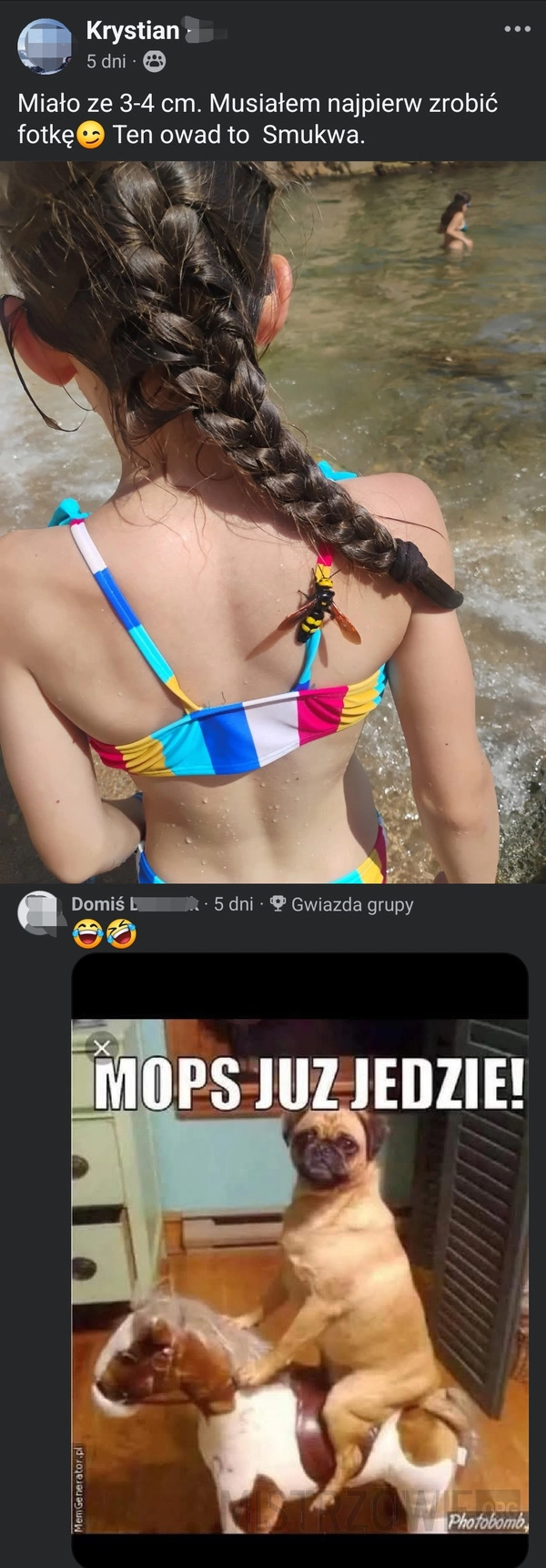 
    Mops już jedzie!!!
