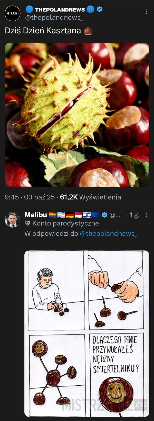 
    Dzień Kasztana