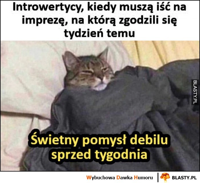 
    Introwertycy kiedy muszą iść na imprezę, na którą zgodzili się tydzień temu, świetny pomysł debilu sprzed tygodnia kot kotek